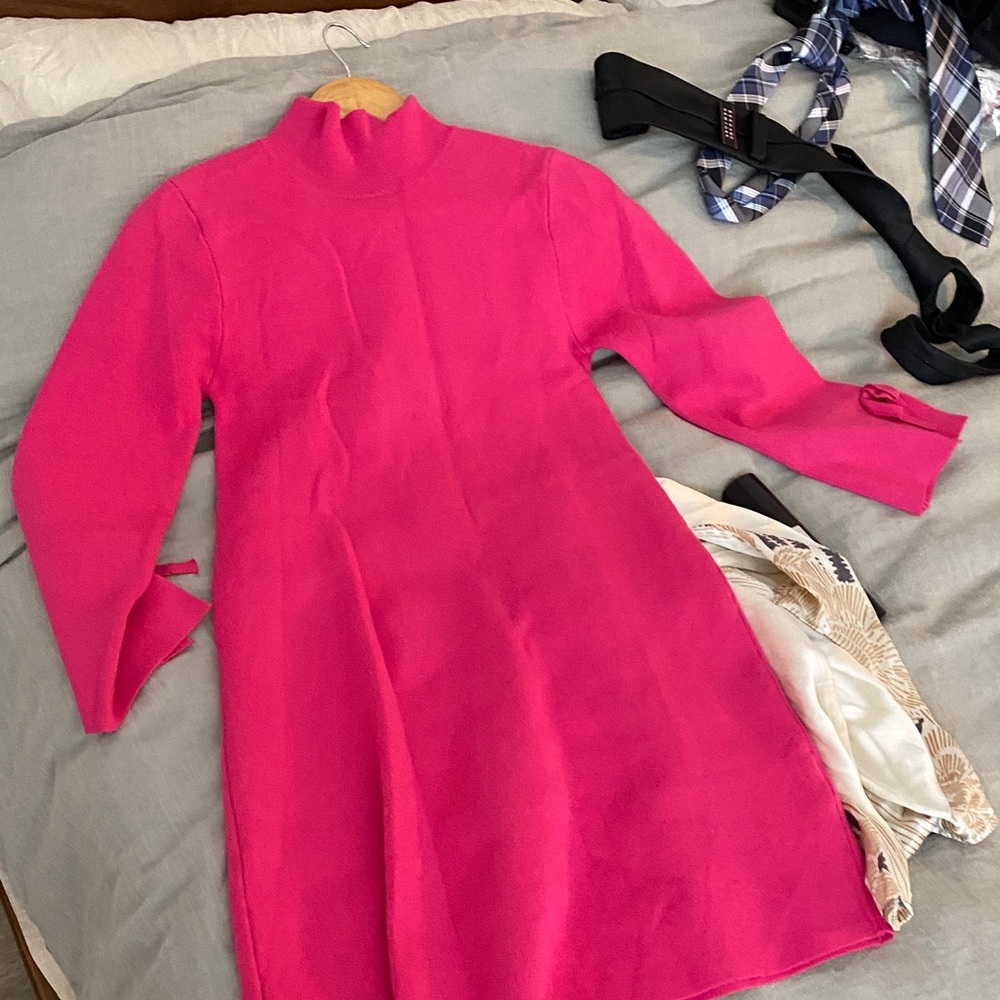 Zara Hot Pink Knit Top